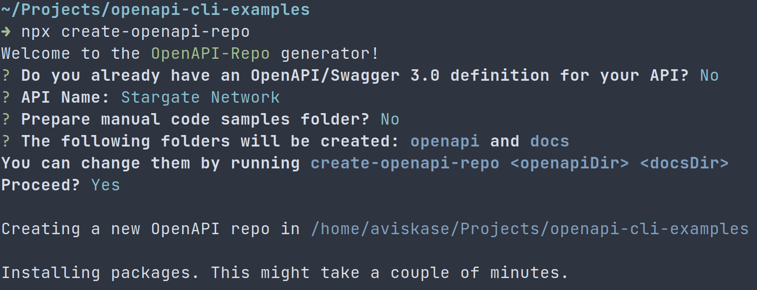 Output of create-openapi-repo tool
